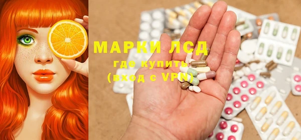 дмт Алзамай