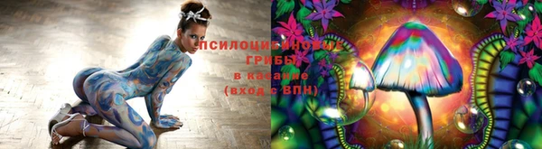круглые Алексеевка