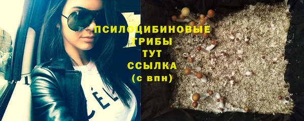 круглые Алексеевка