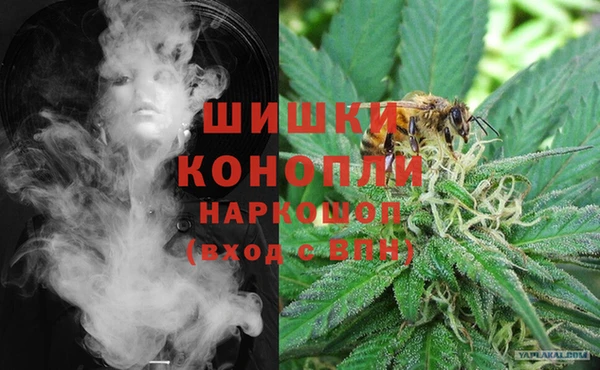 дмт Алзамай