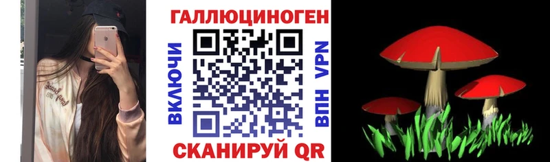 Псилоцибиновые грибы Cubensis  Солнечногорск 