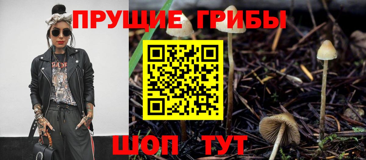 Солнечногорск  Псилоцибиновые грибы прущие грибы  что такое   Вход с VPN 